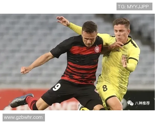 西熟尼流浪者对阵凤凰精彩直播全程回顾与赛后分析