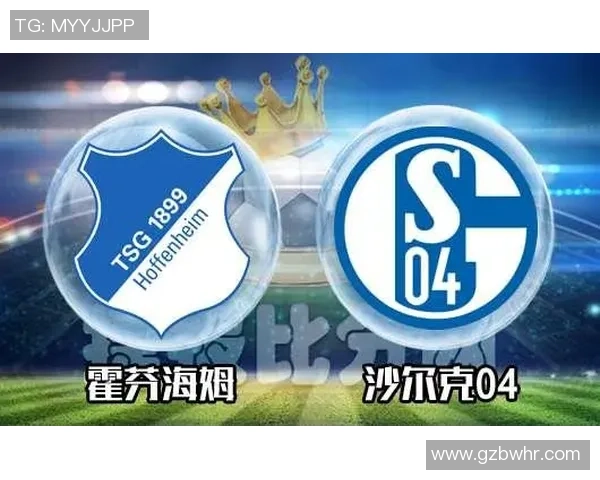 霍芬海姆与沙尔克04对决前瞻及比分预测分析