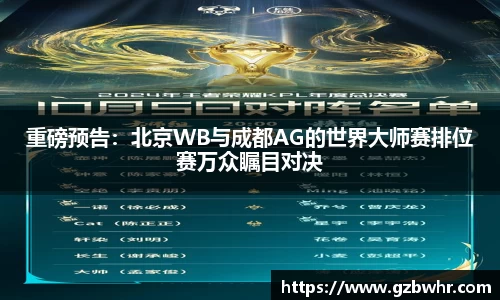 BB贝博bellbet平台