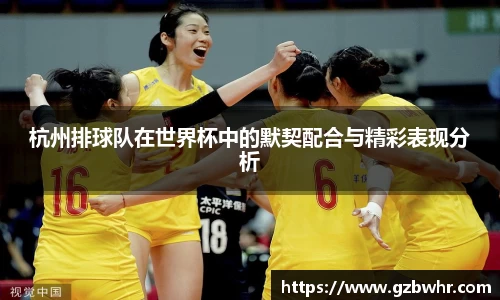 杭州排球队在世界杯中的默契配合与精彩表现分析